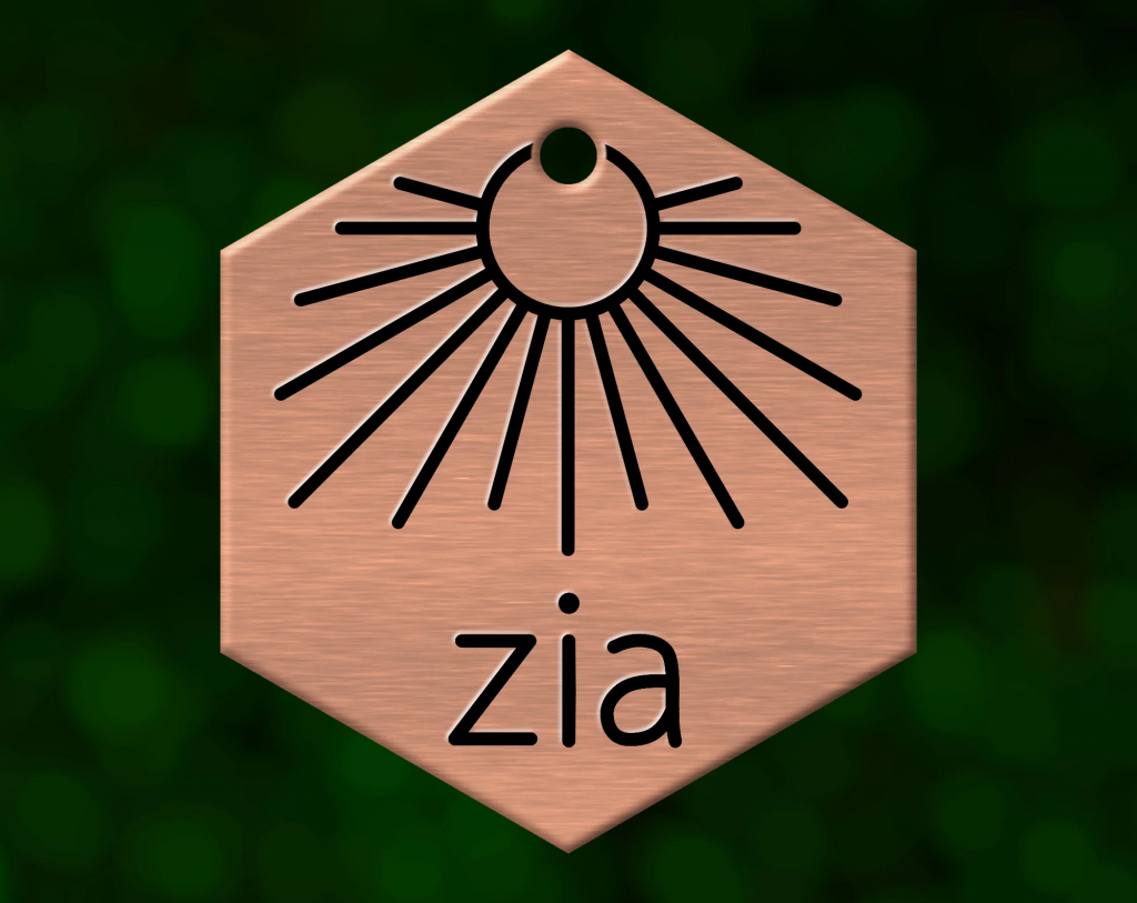 Hexagon-shaped bronze pet tag with custom engraved pet name and beautiful art deco symbol artisan-made