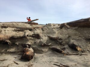 Man in a bright orange sweater standing on a large pile of big driftwood on a sand dune and peering out into the distance with his hand over his eyes to block the sun