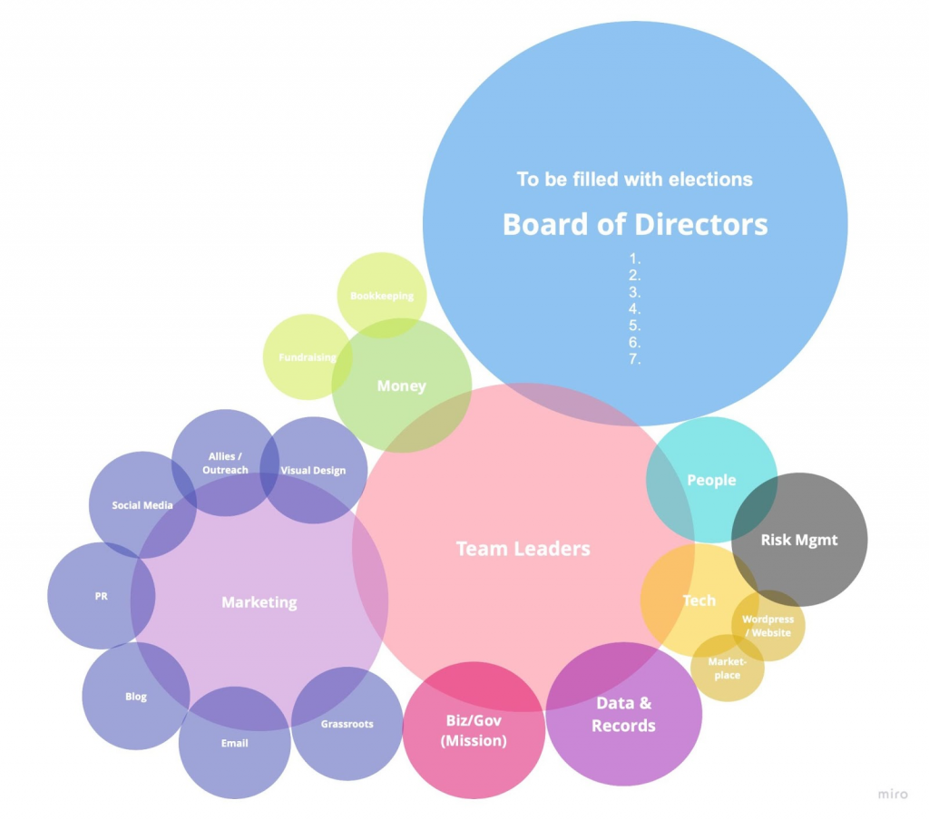 Artisans Cooperative First Sociocracy Diagram Showing Committees as Bubbles with the Team Leaders at the center, Board of Directors at the top, and Marketing, Tech, Business Planning and governance, People, Risk Management and Fundraising and Data Management