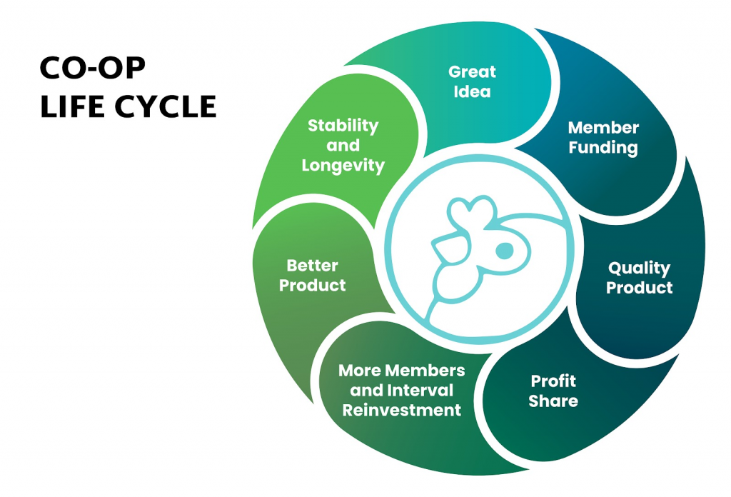 Cooperative Life Cycle graphic showing a self-feeding circle or loop. The steps in the circle are: Great Idea, Member Funding, Quality Product, Profit Share, More Members and Interval Reinvestment, Better Product, Stability and Longevity