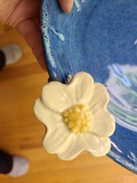A photo of a blue plate with a white dogwood blossom sculpted on the edge. 