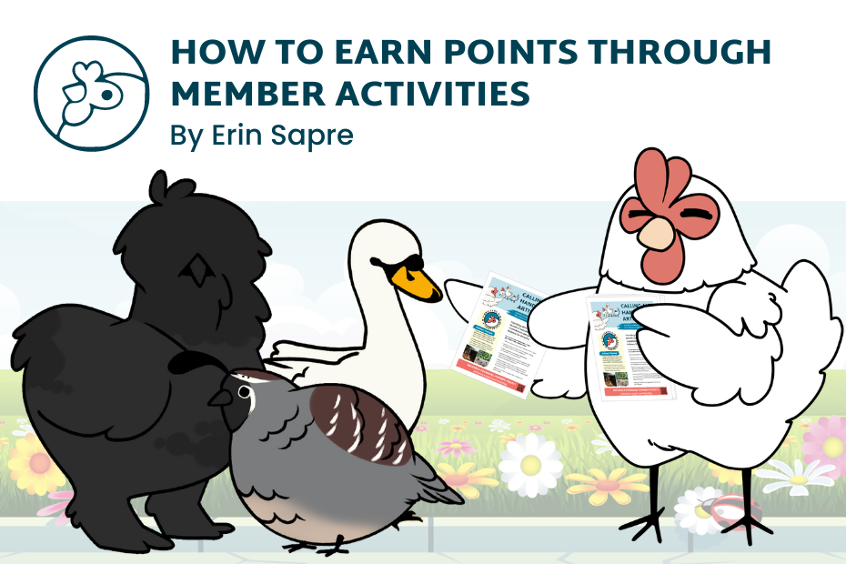 Illustration of Brook the Artisans Cooperative chicken mascot passing out flyers to a group of other birds, with the title How to Earn Points for Member Activities