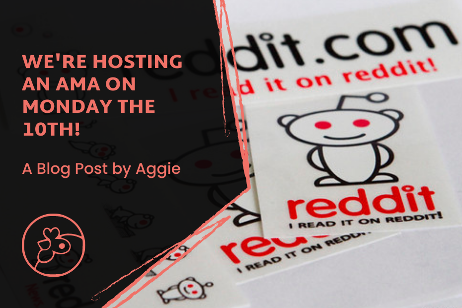 A graphic with the reddit logo and the title "We're Hosting An AMA on Monday the 10th! A Blog Post by Aggie"