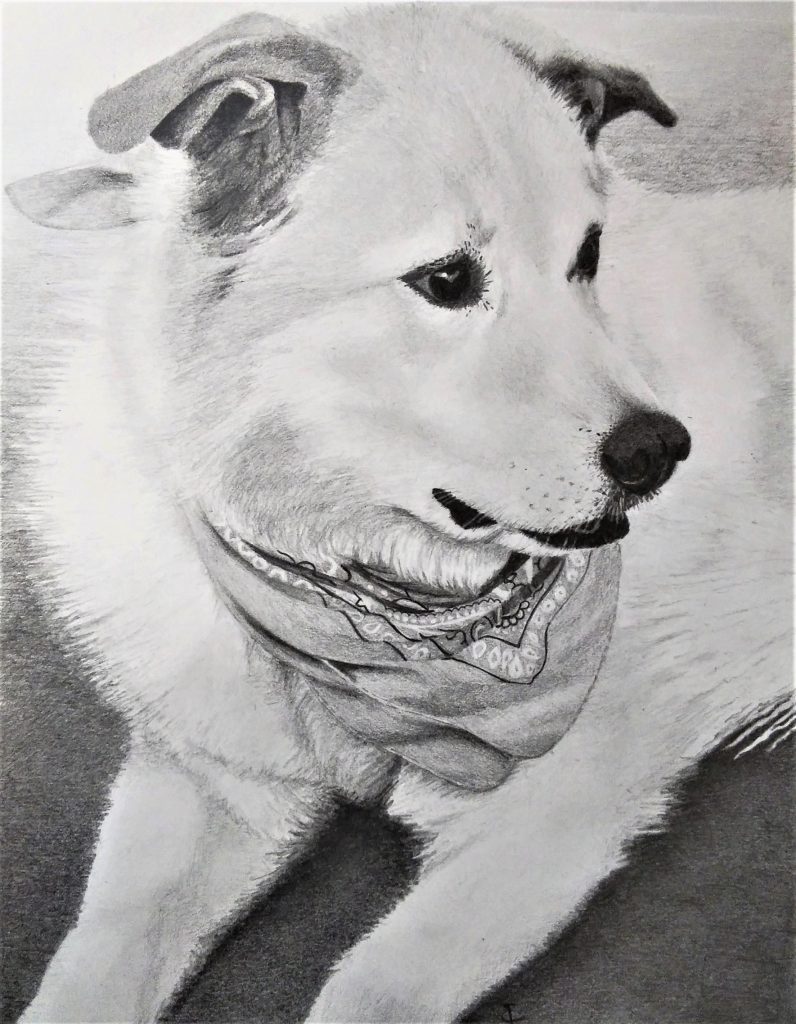 A drawing of a dog laying down and looking to the viewers right. It has a detailed bandana around it's neck.