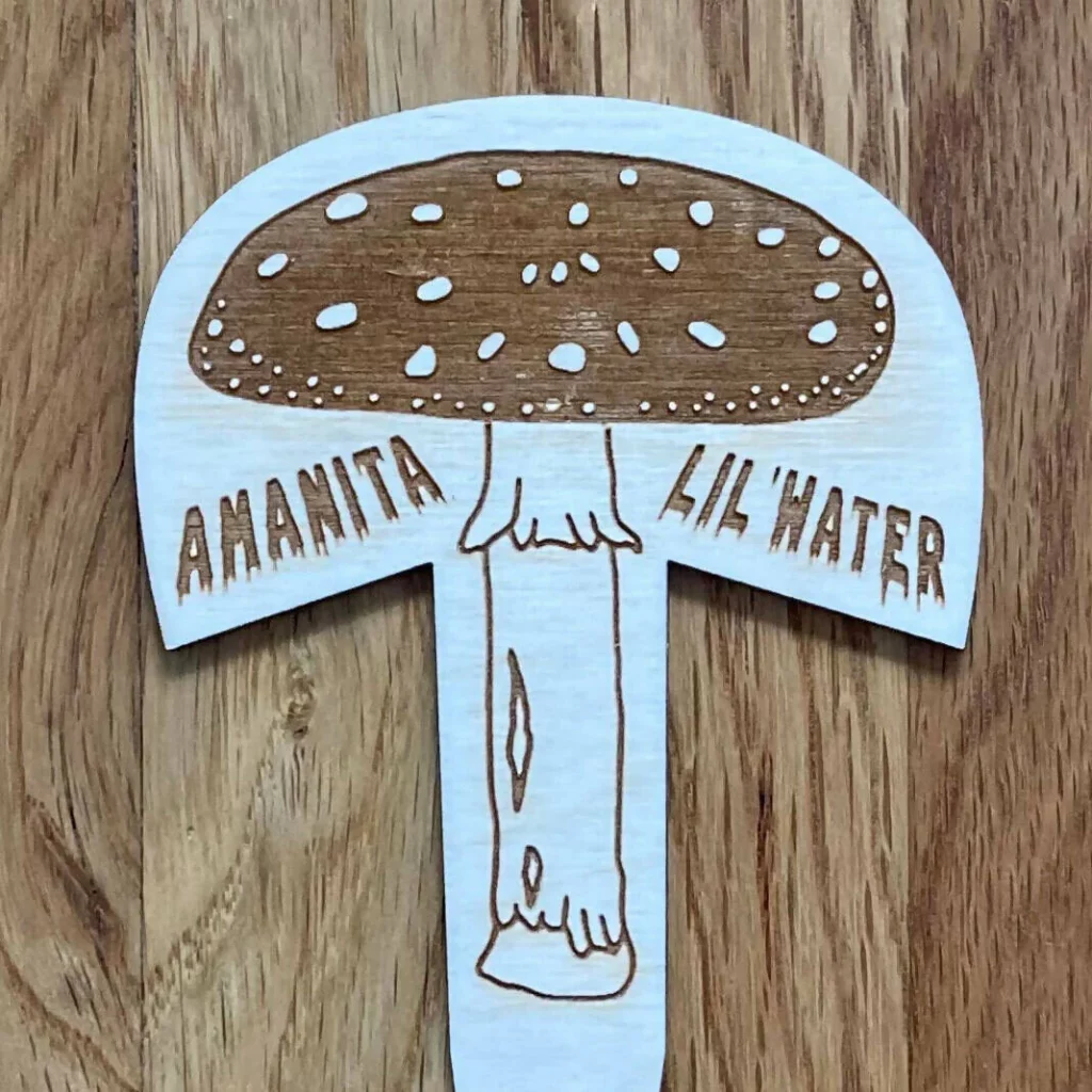Cut out piece of wood with an image of a mushroom and  long stick end for putting into plant soil and testing water depth It says "Amanita Lil Water"