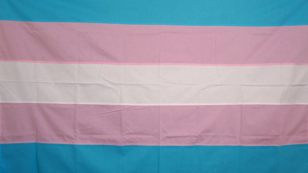 A handmade flag with stripes in trans colors, from bottom to top: Light blue, light pink, white, light pink, light blue.